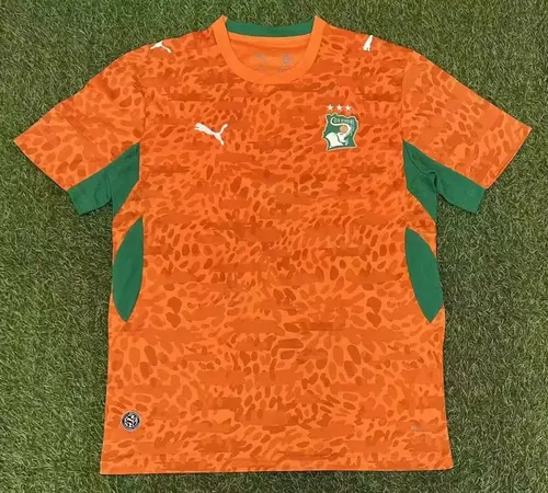 2026 Maillot Domicile Équipe Nationale de Côte d'Ivoire Football  