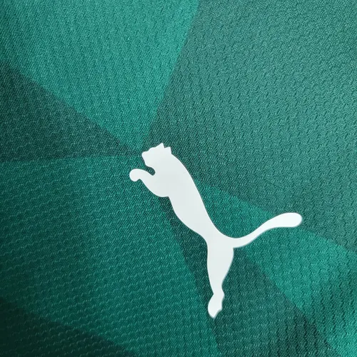 2023/2024 Palmeiras Home Jersey  — view 4