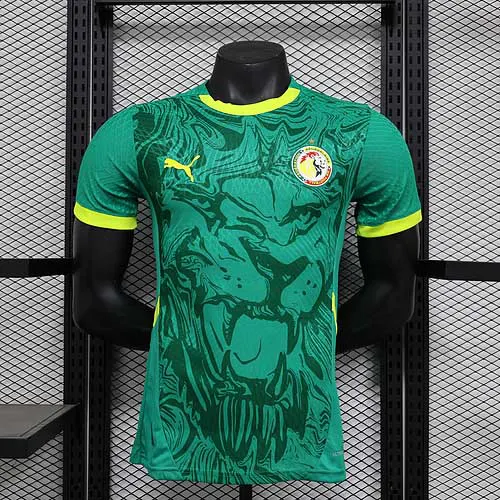 Maillot domicile Sénégal Équipe Nationale Version Joueur 2025/2026 