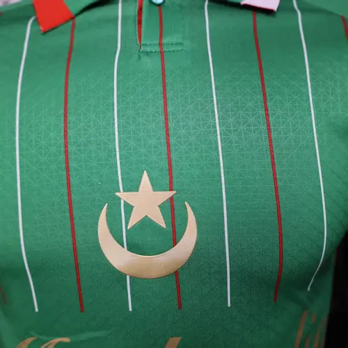 2025/2026 Versión Jugador Camiseta de Fútbol Edición Especial Palestina Verde Calidad Thai — view 4