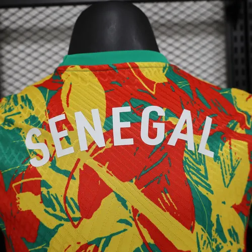 2024/2025 Versão Jogador Camisa de Futebol Treino Seleção Senegal AAA qualidade fã — view 8