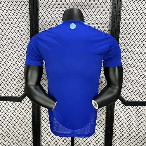 2024-2025 Spielerversion Argentinien Auswärts Fußballtrikot  — view 2