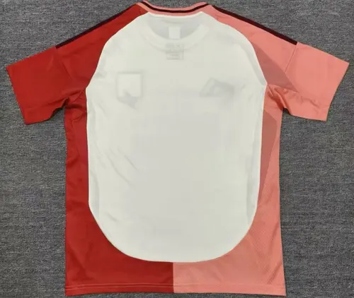 Maillot de football deuxième extérieur 2024/2025 Lyon  — view 2
