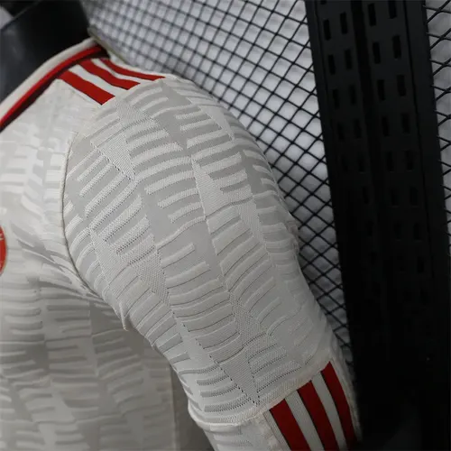 2024/2025 Langarm Bayern München Drittes Auswärts Spielerversion Fußballtrikot  — view 6