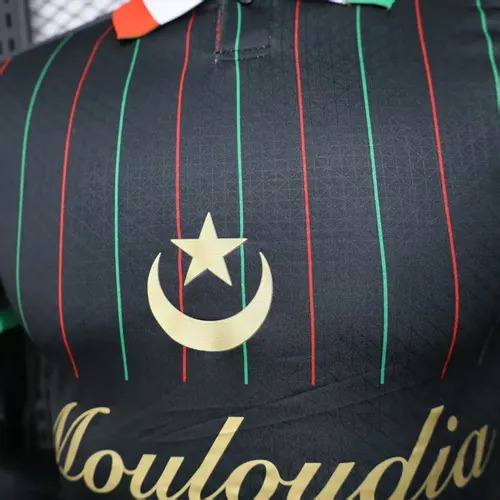 Maillot Noir Édition Spéciale Palestine Version Joueur 2025/2026  — view 4