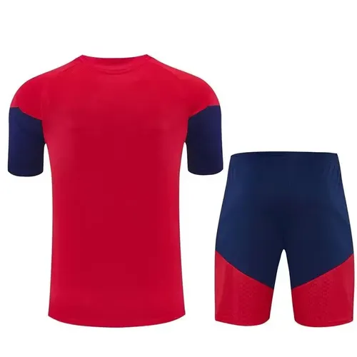 2026 Spain Nationalmannschaft Trainingsanzug Sonderausgabe Rot Fußballtrikot   — view 2