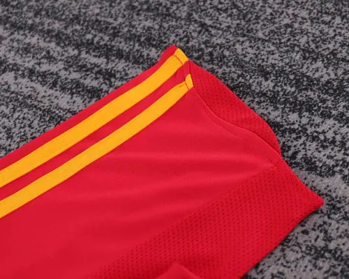 2008 Retro Spanien Heimtrikot  Kindergröße — view 9