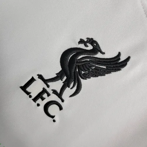 2023/2024 Liverpool Away Soccer Jersey  — view 5