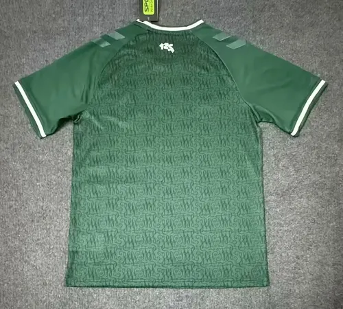 2025/2026 Werder Bremen Sonderedition Fußballtrikot  — view 2