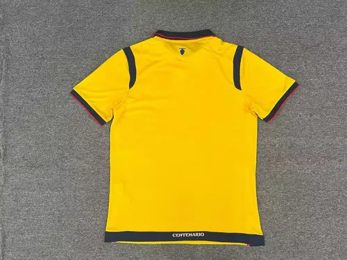 2025/2026 Ecuador Nationalmannschaft Auswärts Fußballtrikot AAA fan-gradät — view 2