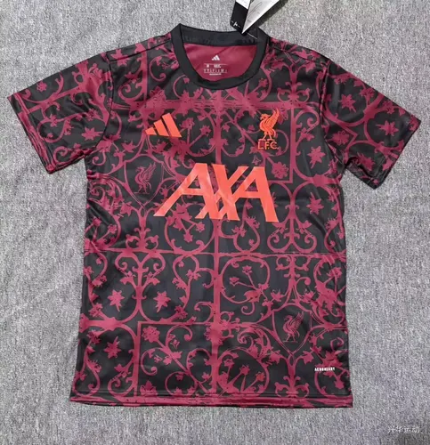 Camisa de Futebol Liverpool Treino 01 2025/2026  — view 1