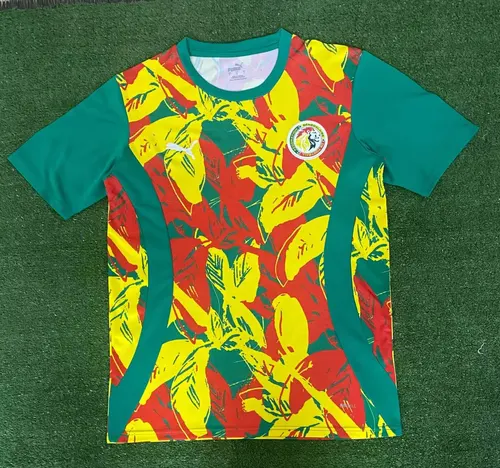2024/2025 Maillot d'Entraînement Équipe Nationale Sénégal AAA qualité fan