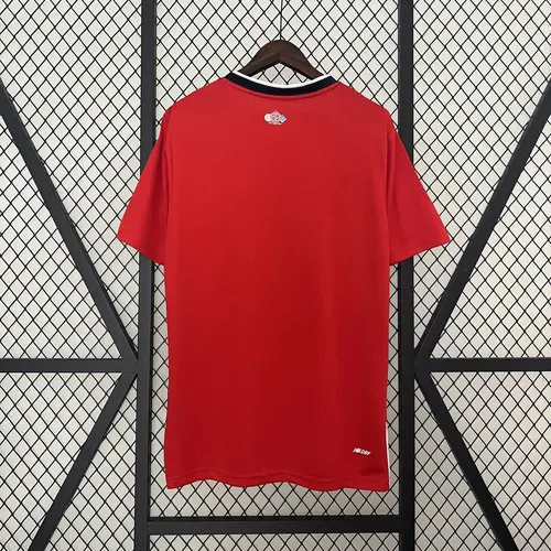 2024/2025 Lille Home Football Shirt  — view 2