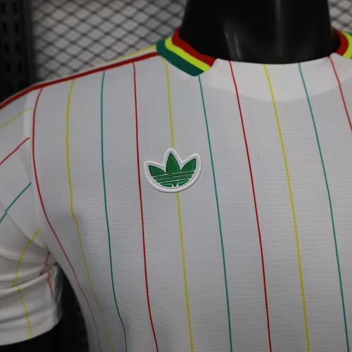 Camiseta de Fútbol Edición Especial de la Selección Nacional de Senegal Versión Jugador 2026 — view 4