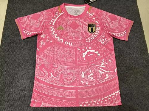 2024/2025 Italien Sonderedition pink Fußballtrikot 