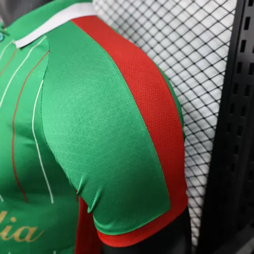 2025/2026 Versión Jugador Camiseta de Fútbol Edición Especial Palestina Verde Calidad Thai — view 7