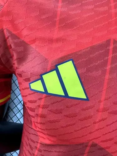2024/2025 Version Joueur Espagne Édition Spéciale Maillot 02 — view 6