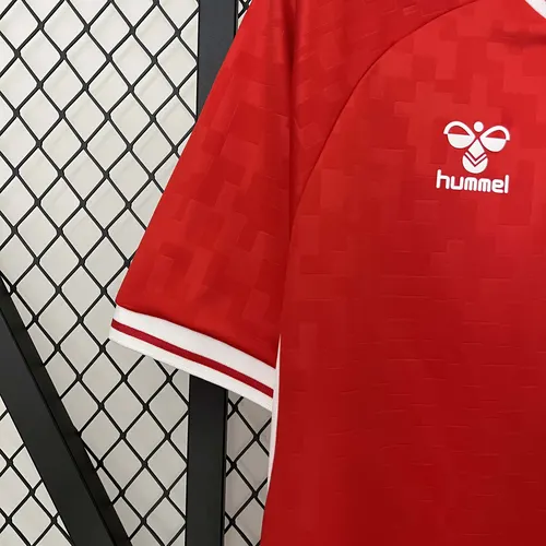 Maillot Domicile Équipe Nationale Danemark 2024  — view 5