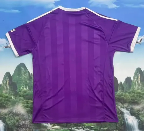 2025/2026 Aston Villa Goleiro Roxo Camisa de Futebol  — view 2