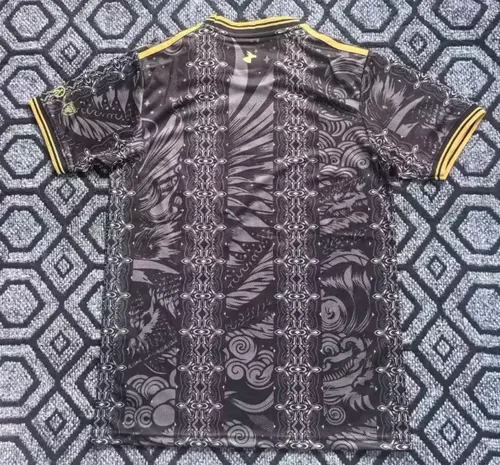 2026/2027 Argentina National Special Edition Football Jersey  — view 2