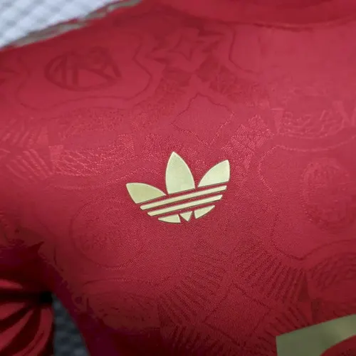 2025/2026 Player Version Bayern Munich 125th Anniversary Football Jersey  — view 4