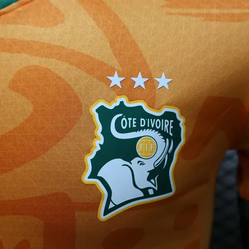 2024 Spieler Version Elfenbeinküste Heim Fußballtrikot AAA Fan-Qualität — view 5