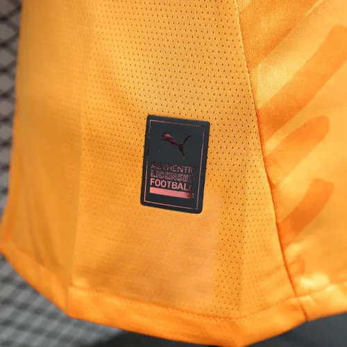 2024 Spieler Version Elfenbeinküste Heim Fußballtrikot AAA Fan-Qualität — view 8