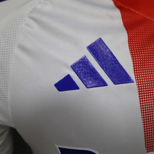 2024/2025 Spielerversion Lyonnais Heim-Fußballtrikot  — view 4
