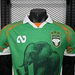 2025/2026 Versión Jugador Costa de Marfil Selección Nacional Edición Especial 01 Camiseta Fútbol Calidad Thai — view 3