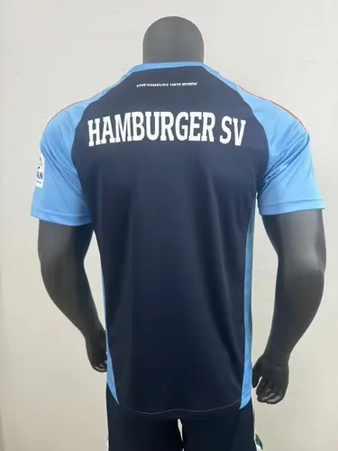 2025/2026 Player Version Hamburger SV Special Edition Football Jersey  — view 2