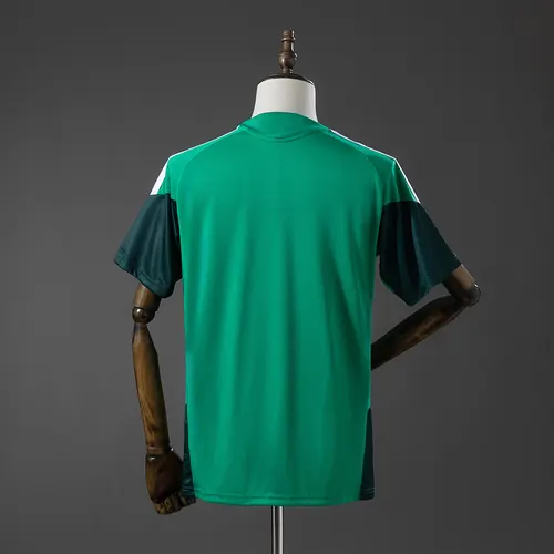 2026 Argelia Selección Nacional Camiseta de Entrenamiento AAA Grado Fan — view 2