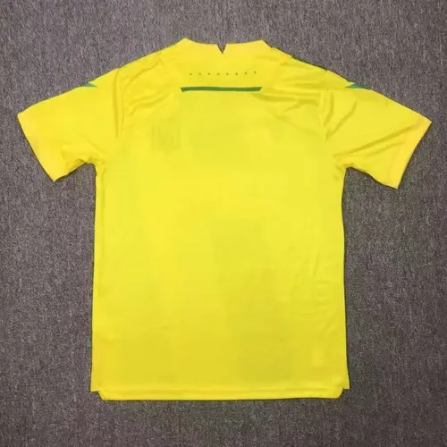2024/2025 Maillot Domicile Nantes lande — view 2