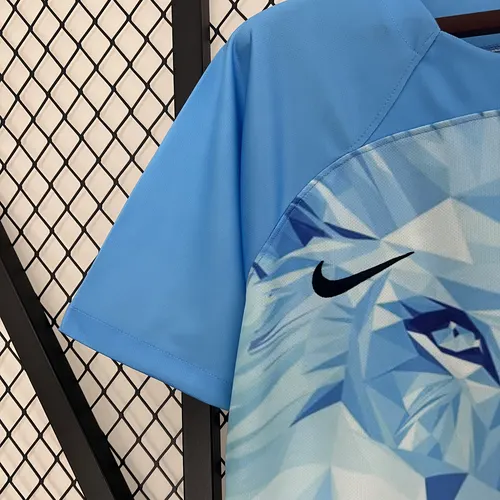 2024-2025 Netherlands National Team Special Edition Football Shirt  — view 4