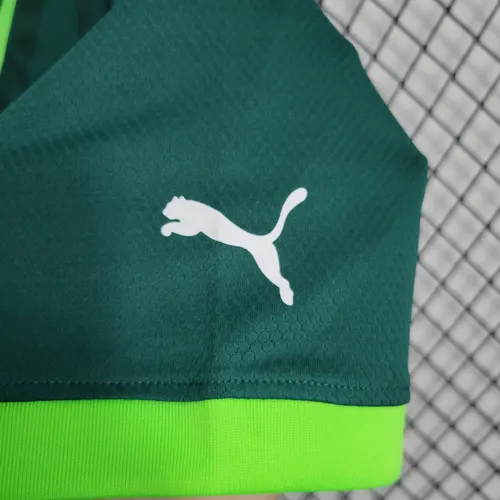 2023/2024 Palmeiras Home Jersey  — view 9