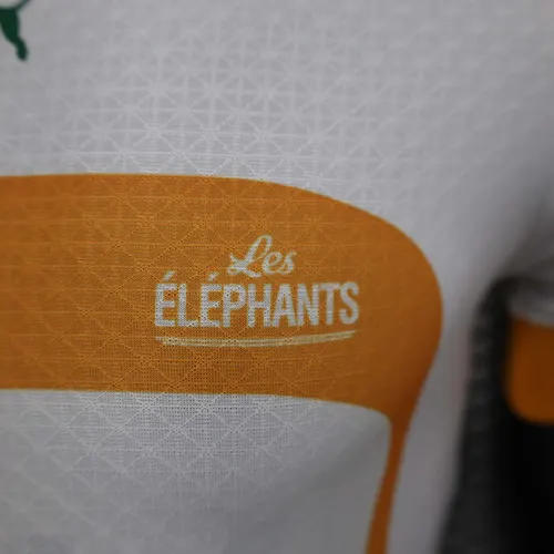 2022 Spielerversion Elfenbeinküste Auswärts Fußballtrikot AAA Fan-Qualität — view 6