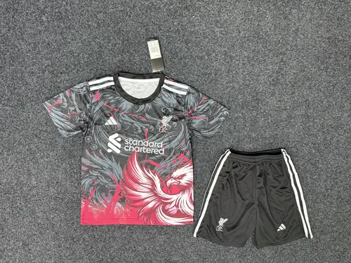 2025/2026 Liverpool Édition Spéciale 03 Maillot de Football  Taille Enfant — view 1