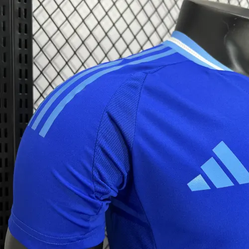 2024-2025 Spielerversion Argentinien Auswärts Fußballtrikot  — view 4