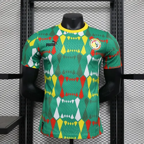 Maillot extérieur Sénégal 2023 Version Joueur