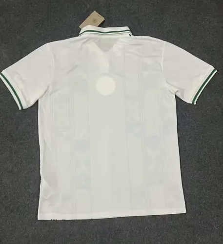 2023/2024 Nigeria Nationalmannschaft Auswärts Fußballtrikot  — view 2