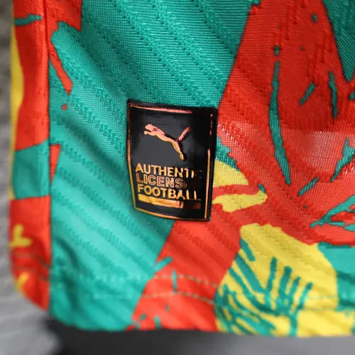 2025/2026 Spielerversion Senegal Nationalmannschaft Vorbereitungskleidung Fußballtrikot  — view 9