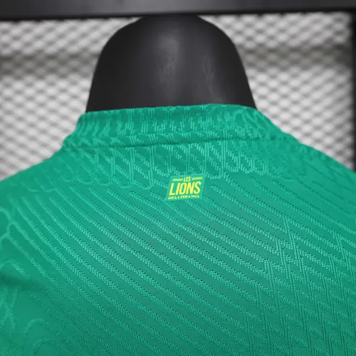2025/2026 Player Version Senegal National Team Home Football Shirt  — view 6