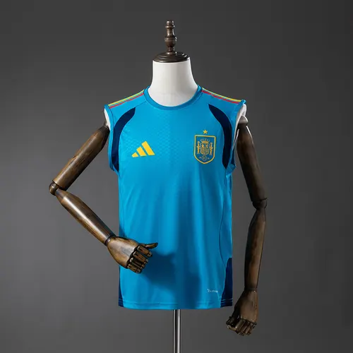 2026 Player Version Spain National Team Training Vest -Blue Football Shirt 