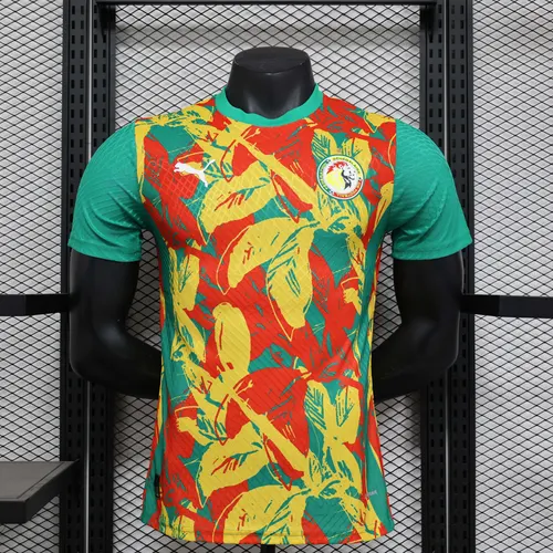 2024/2025 Version Joueur Maillot d'Entraînement Équipe Nationale Sénégal AAA qualité fan