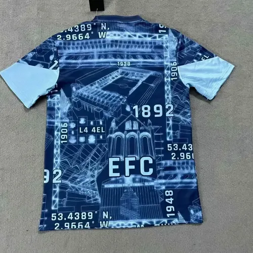 2024/2025 Everton Special Edition Football Jersey  — view 2