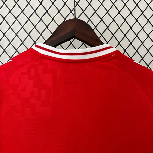 Maillot Domicile Équipe Nationale Danemark 2024  — view 4