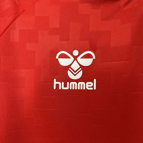 Maillot Domicile Équipe Nationale Danemark 2024  — view 6
