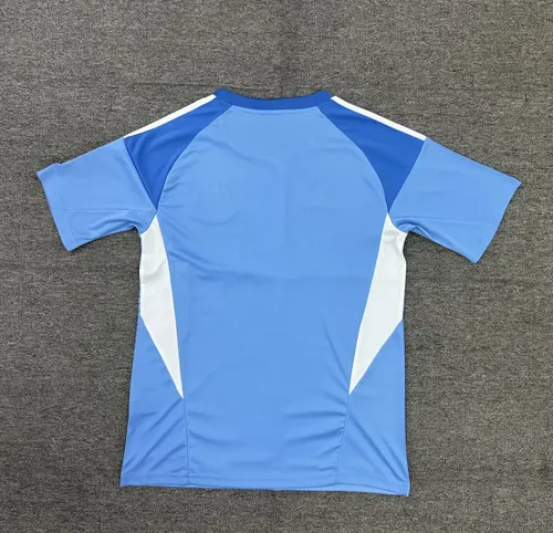 2025/2026 Newcastle United Goalie Blue Football Jersey  — view 2