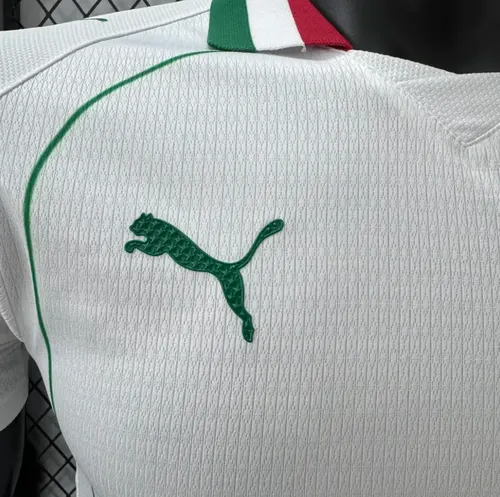 2026/2027 Player Version Palmeiras Away Football Jersey   — view 6