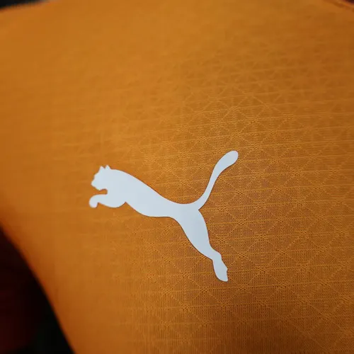 2025/2026 Player Version Galatasaray Home Football Shirt  — view 4