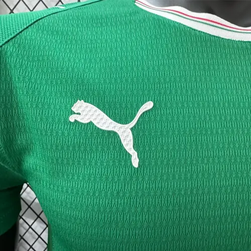 2026/2027 Player Version Palmeiras Home Football Jersey   — view 6